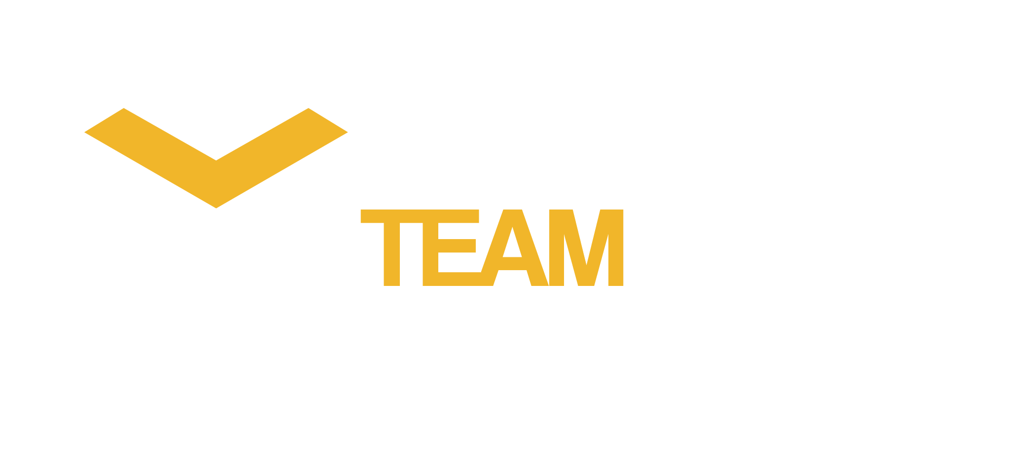 The official logo of TeamLIFTSS, representing strength, unity, and innovation. Designed with clean lines and a bold typeface, it symbolizes the team's mission to uplift and empower through collaboration and strategic support.